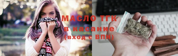 индика Белокуриха