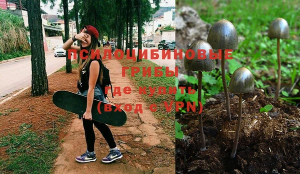 скорость Балахна