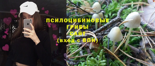 гашик Баксан