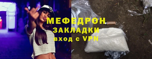 индика Белокуриха