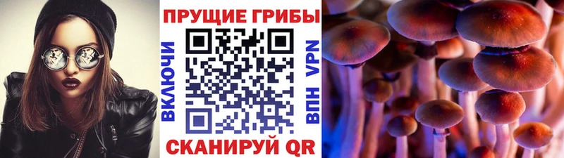 Псилоцибиновые грибы мухоморы  где купить наркотик  Красный Холм 